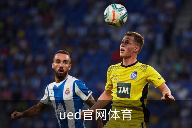 ued官网体育公司简介图片